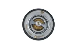 termostat-srodka-chlodzacego-725087-nrf