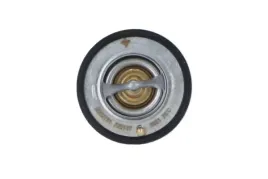 termostat-srodka-chlodzacego-725107-nrf