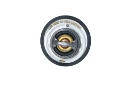 termostat-srodka-chlodzacego-725118-nrf