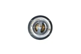 termostat-srodka-chlodzacego-725124-nrf