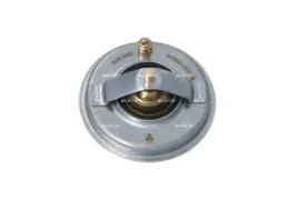 termostat-srodka-chlodzacego-725210-nrf