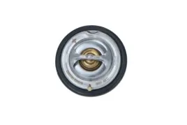 termostat-srodka-chlodzacego-725074-nrf