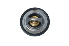 termostat-srodka-chlodzacego-725089-nrf