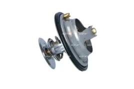 termostat-srodka-chlodzacego-725098-nrf