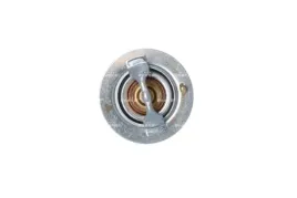 termostat-srodka-chlodzacego-725119-nrf