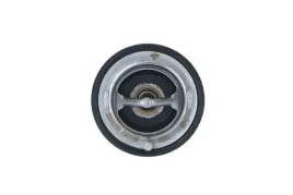 termostat-srodka-chlodzacego-725199-nrf