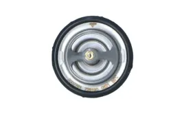 termostat-srodka-chlodzacego-725190-nrf