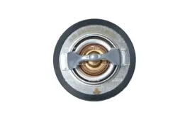 termostat-srodka-chlodzacego-725205-nrf