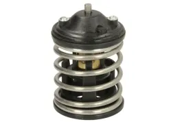 termostat-srodka-chlodzacego-725220-nrf