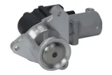 zawor-egr-48639-nrf