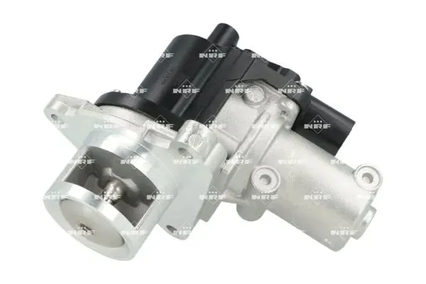 zawor-egr-48639-nrf