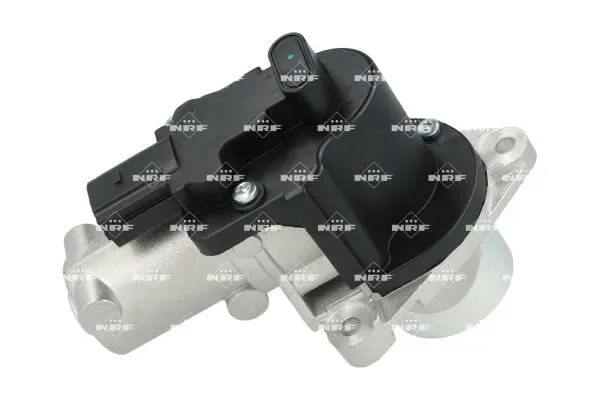 zawor-egr-48639-nrf