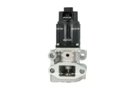 zawor-egr-48653-nrf