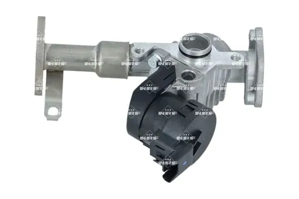 zawor-egr-48654-nrf