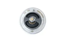 termostat-725233-nrf
