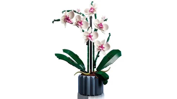 legor-10311-creator-expert-orchidea-plec-brak-informacji