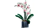 legor-10311-creator-expert-orchidea-plec-brak-informacji