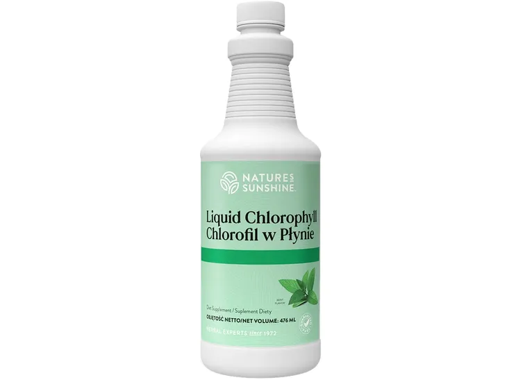 NATURE'S SUNSHINE CHLOROFIL W PŁYNIE chlorofilina z lucerny miętowy 476 ml