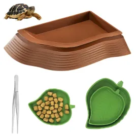 zestaw-do-terrarium-basen-dla-gadow-miski-do-karmienia