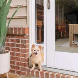 drzwiczki-dla-psa-do-drzwi-przesuwnych-petsafe-wklad-do-drzwi-dla-psa-s