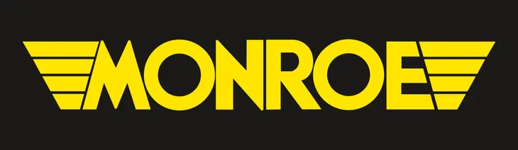monroe-g2229-amortyzator-wersja-europejska