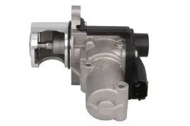 zawor-egr-48732-nrf