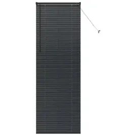 zaluzja-okienna-z-zaslonami-czarny-aluminium