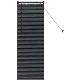 zaluzja-okienna-z-zaslonami-czarny-aluminium