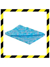 raypath-czyscik-niebieski-sunbeam-38x41-scierka-do-czyszczenia-radmirradom