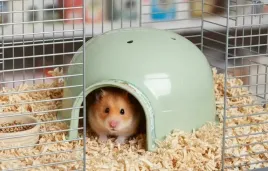 zolux-cosy-domek-igloo-male-kryjowka-dla-gryzoni