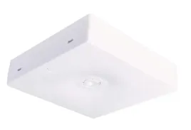 oprawa-awaryjna-led-natynkowa-kwadratowa-1w-150-lm-neutralna-intelight