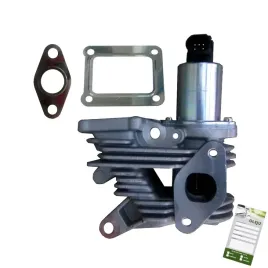 zawor-spalin-renault-megane-ii-scenic-ii-1-9dci