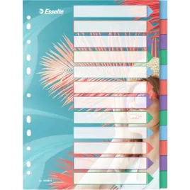 przekladki-colourbreeze-pp-a4-12-przekladek-628501-esselte