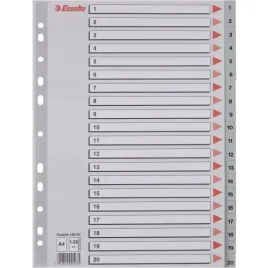 przekladki-plastikowe-numeryczne-a4-1-20-szare-esselte-100107