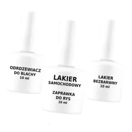 lakier-do-renault-369-biala-glaciar