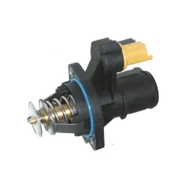 termostat-peugeot-307-cc-2-0-16v-2005