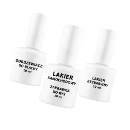 lakier-do-ford-magnetic