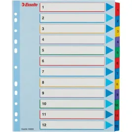 przekladki-kartonowe-mylar-a4-maxi-1-12-esselte-100209
