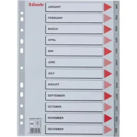 przekladki-plastikowe-szare-pp-a4-12-miesiecy-numeryczne-100114-esselte