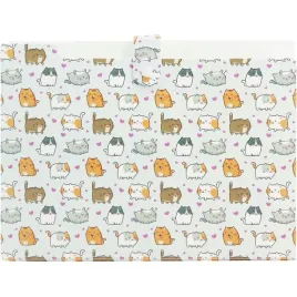 teczka-harmonijkowa-a4-pp-5-przegrodek-z-nadrukiem-kittens-thn-a4-35-biurfo