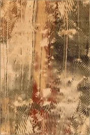 dywan-welniany-do-salonu-agnella-ornan-sahara-isfahan-160x240-cm