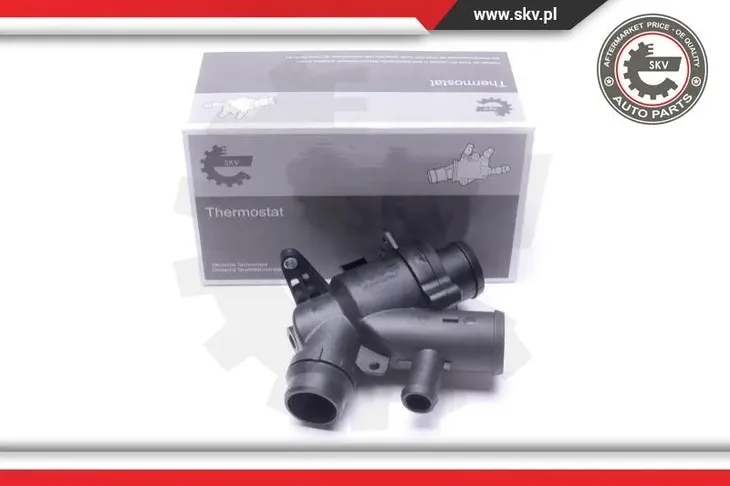 termostat-20skv169-skv