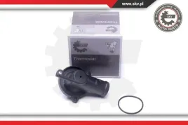 termostat-20skv176-skv