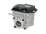 zawor-egr-deg-0102-den