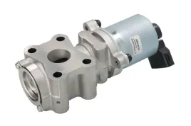 zawor-egr-deg-0110-den