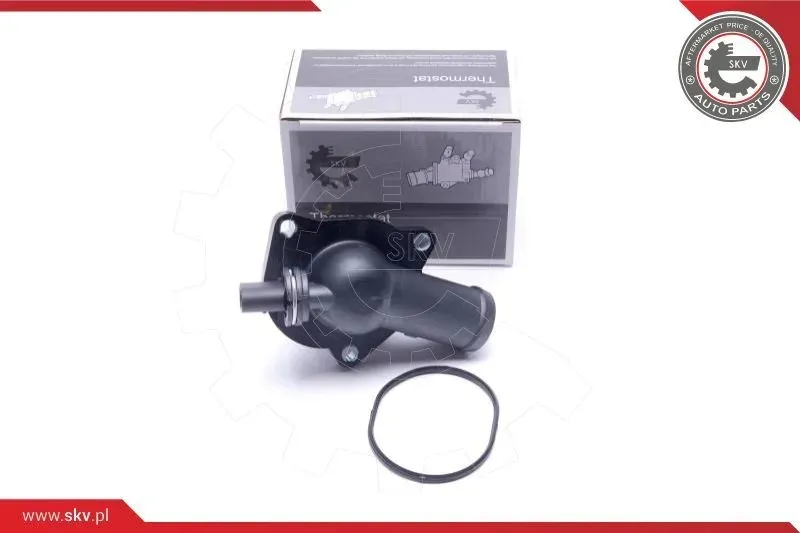 termostat-20skv205-skv
