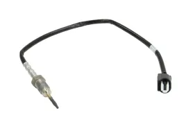 czujnik-temperatury-spalin-det-0104-den