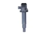 cewka-zaplonowa-dic-0100-den