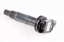 cewka-zaplonowa-dic-0102-den