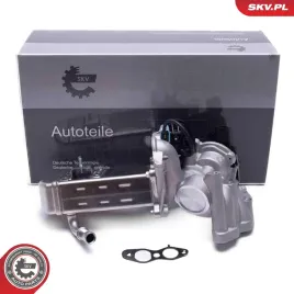 zawor-egr-14skv238-skv
